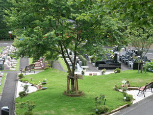 エンディングセンターの樹木葬「桜葬」