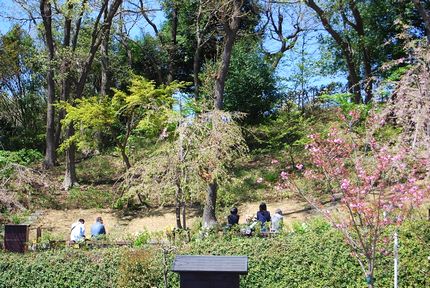 tree burial in tokyo