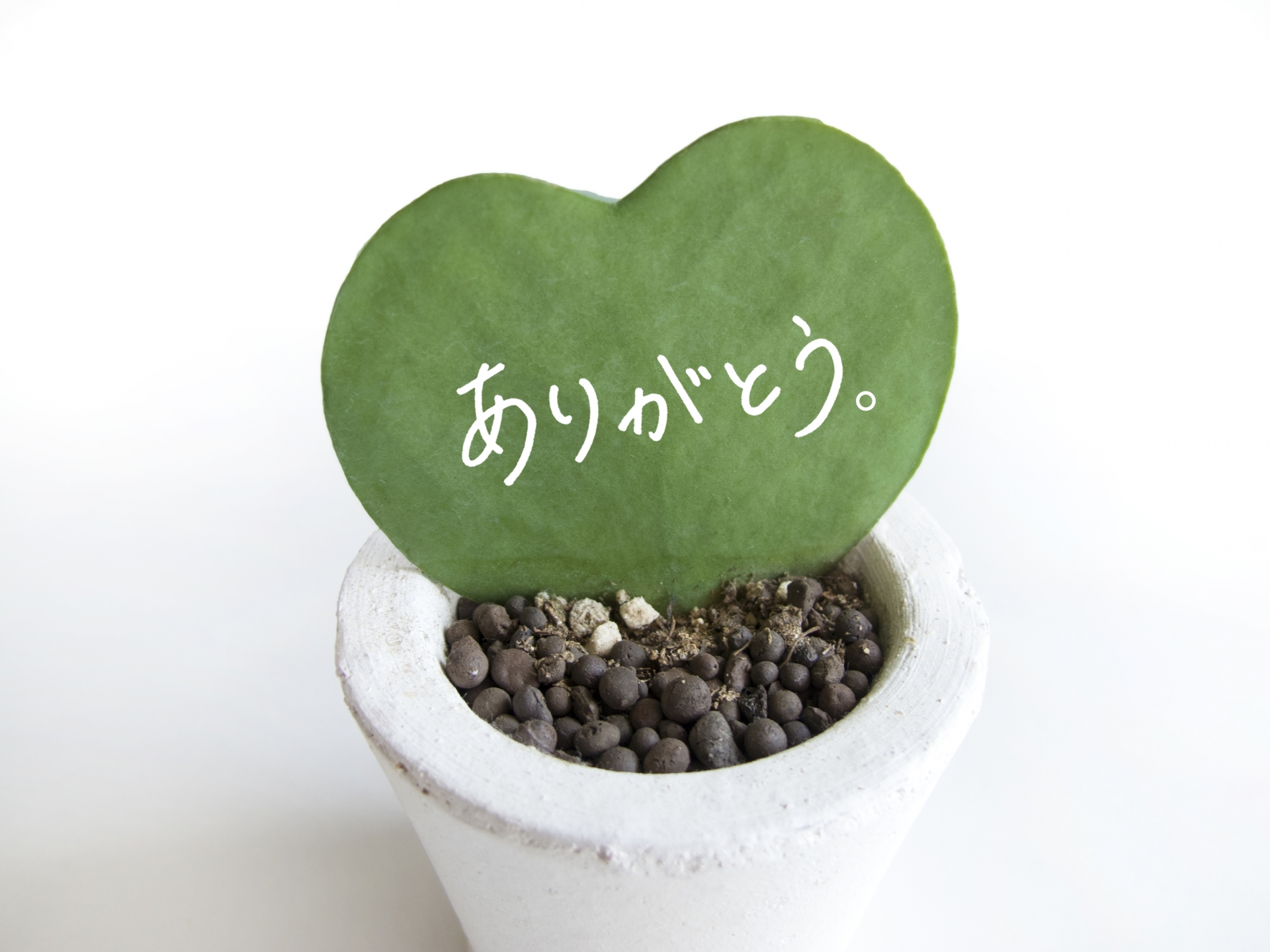 定年退職祝いのお返しは 職場で配れるプレゼント選び 大人のためのbetterlife マガジン Enpark 定年退職祝いのお返しは 職場で配れるプレゼント選び 大人のためのbetterlife マガジン Enpark