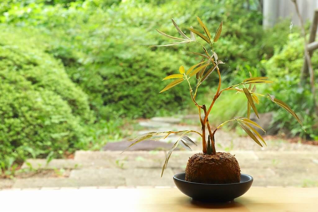 持ちすぎない暮らし 60歳からのシンプルライフのススメ 大人のためのbetterlife マガジン Enpark 持ちすぎない暮らし 60歳からのシンプルライフのススメ 大人のためのbetterlife マガジン Enpark