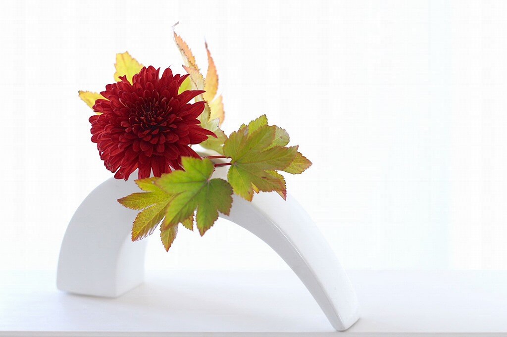 明日からはじめられる 花のあるくらし 草月流いけばな 心にいい日本の文化 大人のためのbetterlife マガジン Enpark 明日からはじめられる 花のあるくらし 草月流いけばな 心にいい日本の文化 大人のためのbetterlife マガジン Enpark