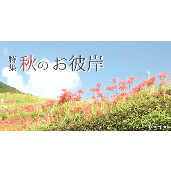 お彼岸特集 春彼岸 秋彼岸 大人のためのbetterlife マガジン Enpark お彼岸特集 春彼岸 秋彼岸 大人のためのbetterlife マガジン Enpark